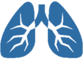 guia05 pulmones